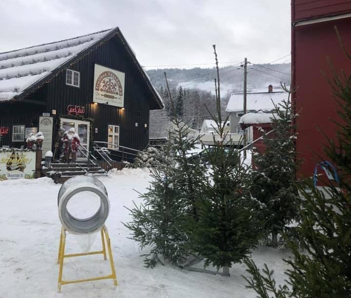 Juletresalg fra Melum Gård