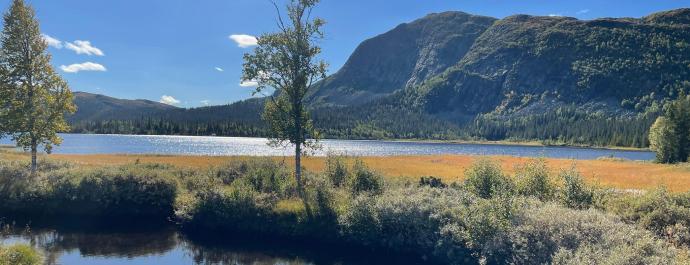 Sommer på Haglebu