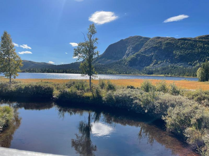 Sommer på Haglebu