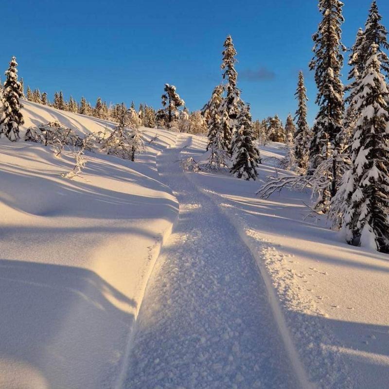 Gåløyper på Norefjell