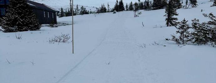 Labbeløyper og trugeturer