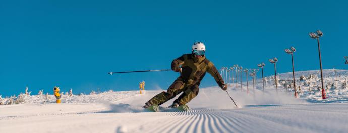 Alpine skiing