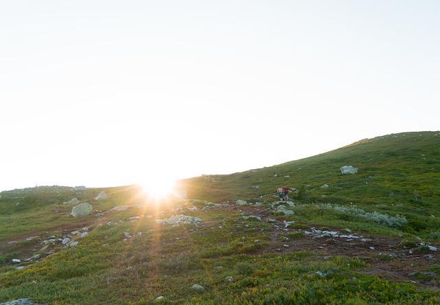 7 turer du bør gå i sommer