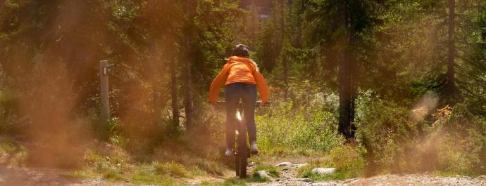 Satser på Trailguide – ny webløsning for sykkelstier