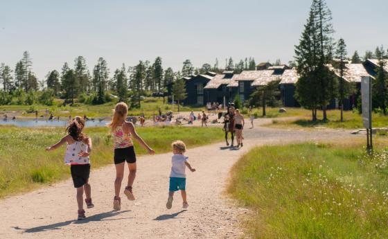 Norefjell Ski & Spa