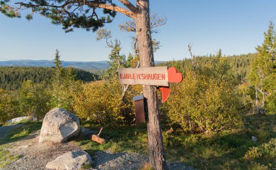 Turforslag