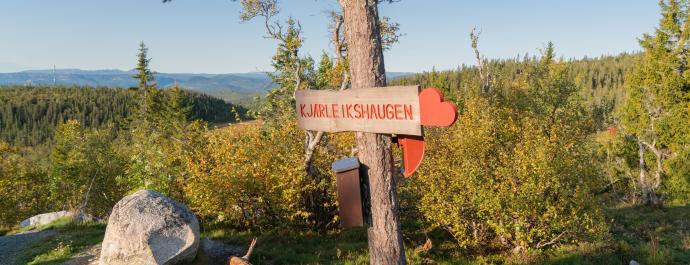 Turforslag