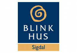 Blink Hus Sigdal