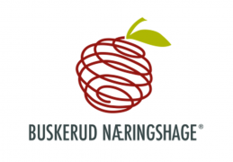 Buskerud Næringshage