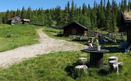 Høstferieaktiviteter og Seterliv ved Norefjell Ski & Spa