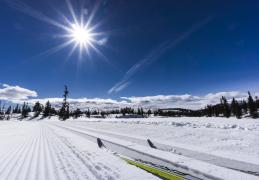 Høgevarde hytteområde