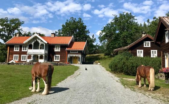 Veikåker / Hanne på landet