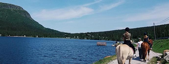 Sommer på Haglebu