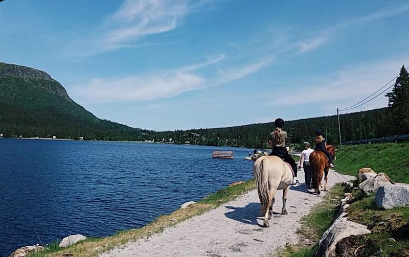 Sommer på Haglebu