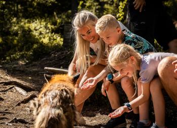 Klikk for å se større