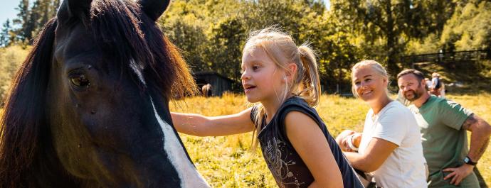 Barnas Bondegård (children’s farm) at Blaafarveværket