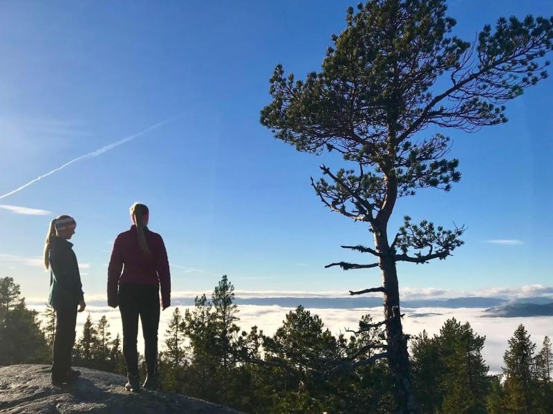 Flæa og Sundesetertjern 684 moh