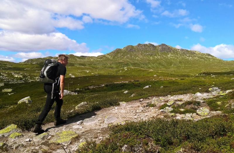 7 turer du bør gå i sommer
