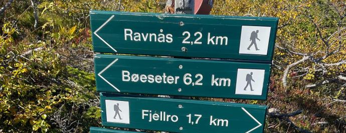 Surtebergflaget på Norefjell