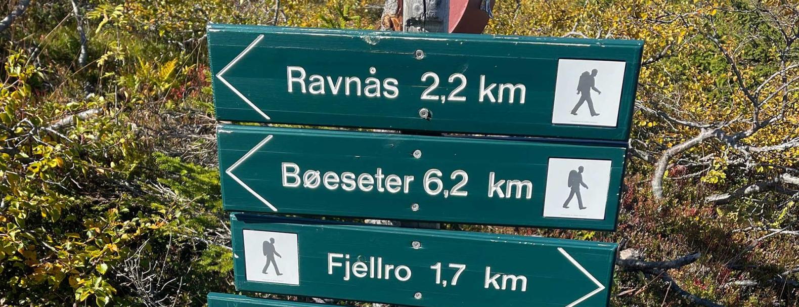 Surtebergflaget på Norefjell