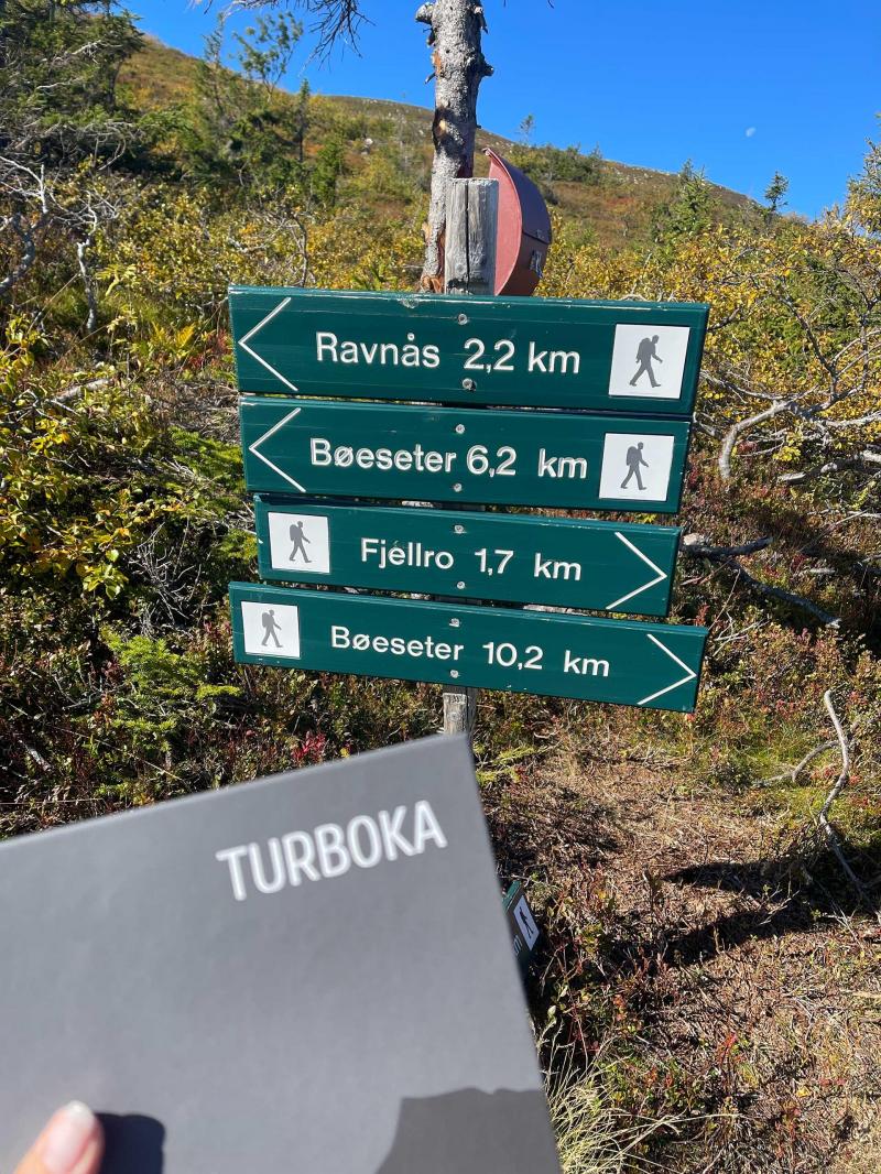 Surtebergflaget på Norefjell