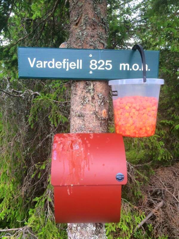 Vardefjell, 825 moh