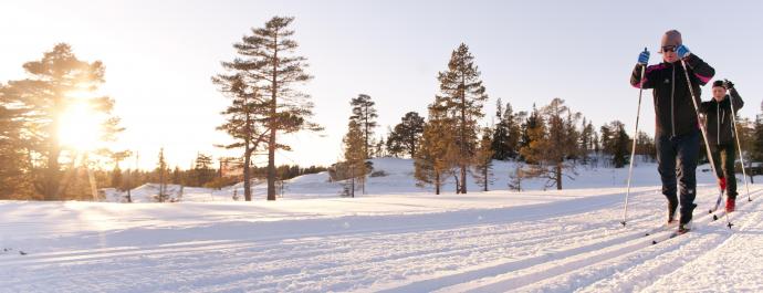 Langrenn og labbeløyper