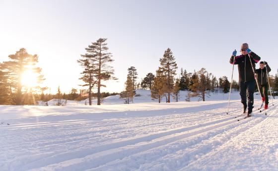 Langrenn og labbeløyper